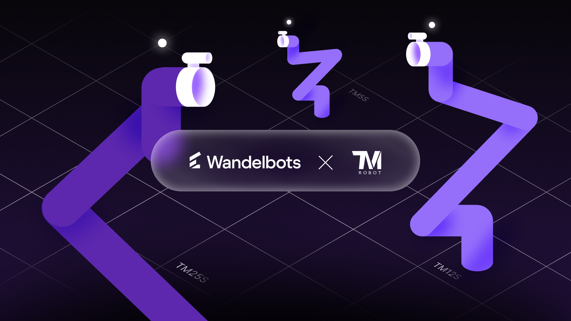 Wandelbots & Techman Robot Announcement